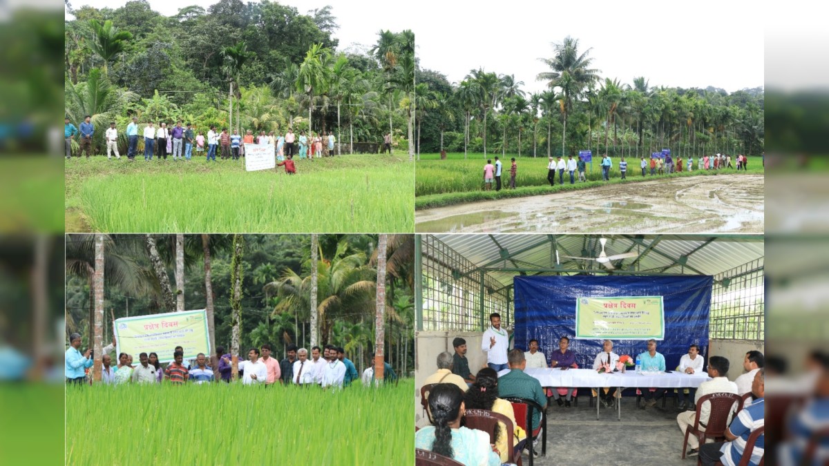 Timely transplanting, higher yields: CIARI farmers’ field day puts Rice Science into practice