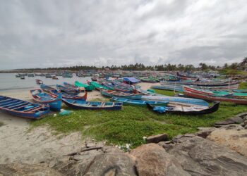 India Launches Fully Digital Marine Fisheries Census 2025 with VyAS Apps for Real-Time Geo-Referenced Data