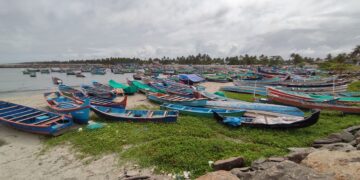 India Launches Fully Digital Marine Fisheries Census 2025 with VyAS Apps for Real-Time Geo-Referenced Data
