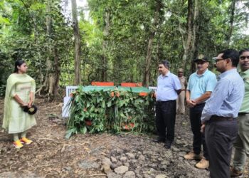 Back to the wild: Andaman wild pigs reintroduced to Jarawa Reserve Forest