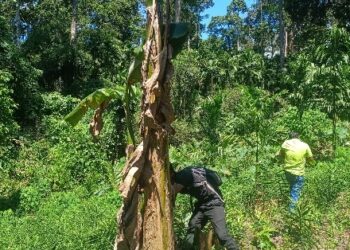 Land freed, trust restored: South Andaman tightens its grip on public land protection