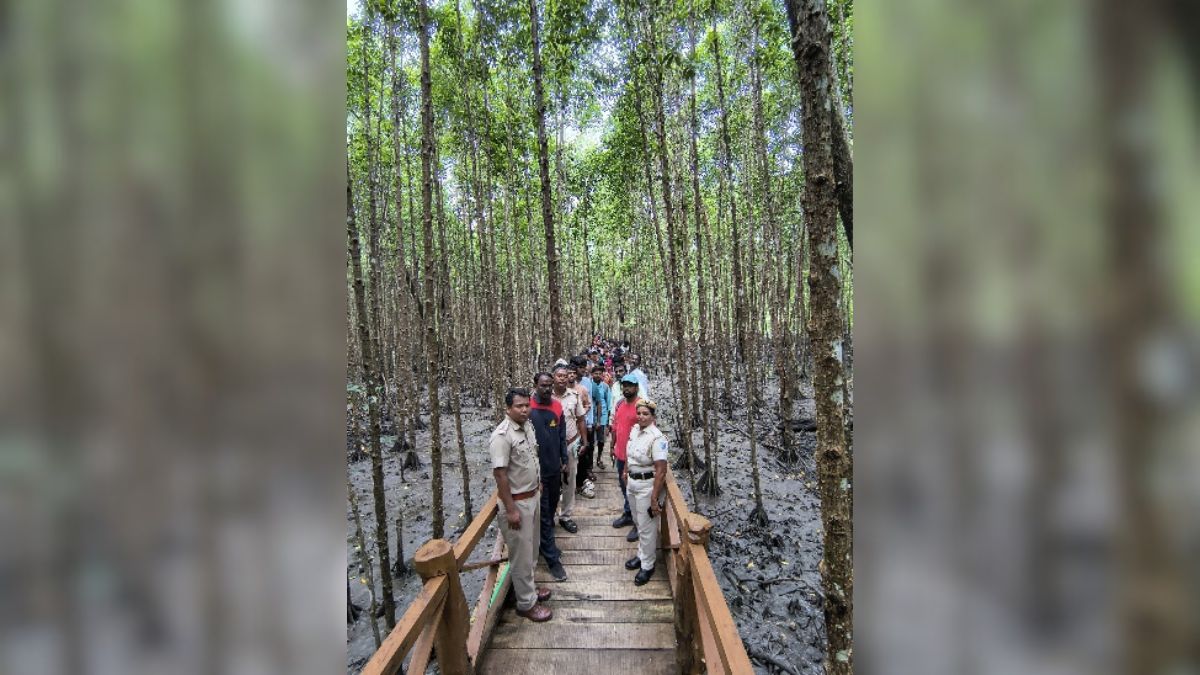 Into the green veins of Shoal Bay: Mangrove Walk inspires eco-guiding spirit