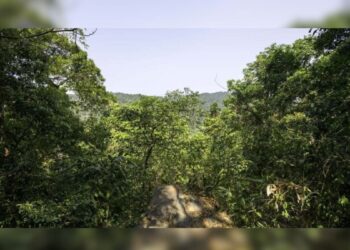 Step into history and nature: Mt. Manipur to host Island Trekking Fest.