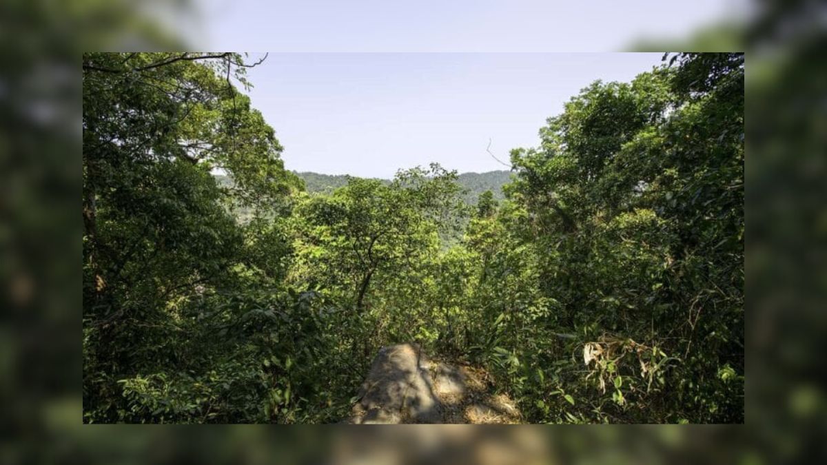 Step into history and nature: Mt. Manipur to host Island Trekking Fest.