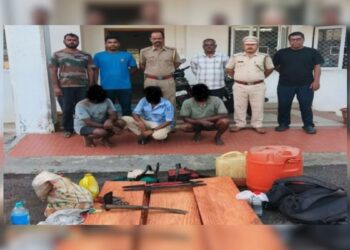 Forest squad nets illegal timber haul in swift crackdown