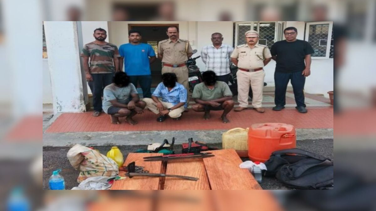 Forest squad nets illegal timber haul in swift crackdown